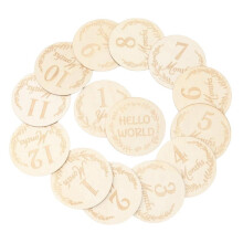 Wooden Baby Photo Discs Set 14 Pieces