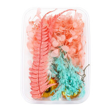 Dried Forget-Me-Not Flowers for Epoxy Resin Jewelry Making