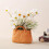 Ceramic Handbag Vase Orange 12cm 2
