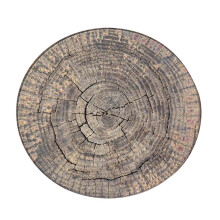 Wood Grain Round Carpet for Living Room 60 cm