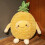 Crochet Throw Pillows with Fruit and Sunflower Design 2 Pack 1