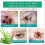 Dog Ear Cleaner Solution 20ML 6