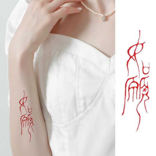 RUOYING 临时纹身贴 中文文字 脚手通用 2
