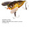 Lure Bait Treble Hook 6.5g 5cm Luminous Cicada White 7