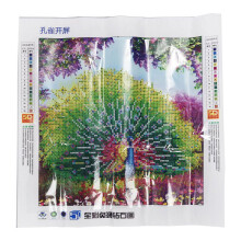 Peacock embroidery painting decor 35x35cm