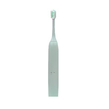 Portable sonic toothbrush with AA battery, 2000 strokes/min