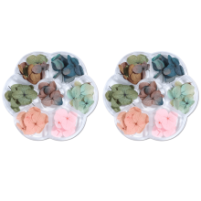 Nail Art Stickers with Dried Flowers 3D Design