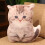 Christmas kitty pillow plush toy 50cm 4