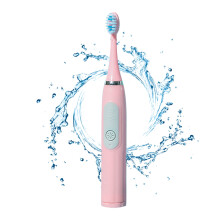 Godom Electric Toothbrush with 6 Brush Heads and 5 Cleaning