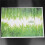 Green grass wall sticker removable waterproof mural 5