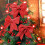 Christmas Bow Decorations Red Wreath Bows 24 Pack 5