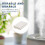 Mojoyce humidifier filter stick replacement sponge 10 pcs 8 8