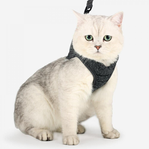 Kattsele och koppelset Mjukt, justerbart, andningsbart 1