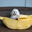 Bananformad husdjursbädd Medium Gul Giftfri 4