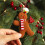 Ornamente de Crăciun cu omuleț de turtă dulce, 9,9 cm 6