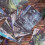 Vintage Dark Aesthetic Junk Journal Paper Pack 60 Sheets 4