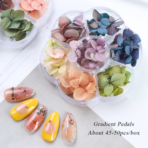 Nail Art Stickers with Dried Flowers 3D Design 1