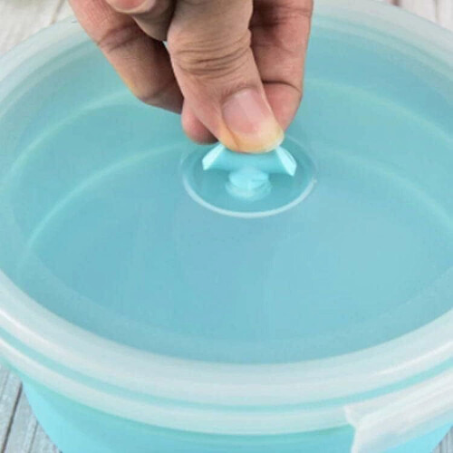 Silicone Collapsible Food Containers with Lids 4 Pcs 2