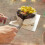Stainless Steel Adjustable Cake Slicer 8