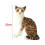 Gray Plush Cat Doll Soft Stuffed Toy 35cm 3