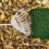 Gartenrechen aus Kunststoff mit leichtem Griff 2