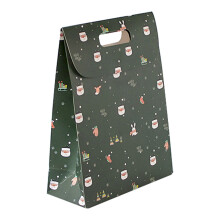 Green Paper Gift Bag with Handle Large