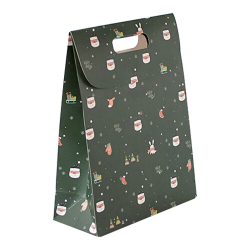 Green Paper Gift Bag with Handle Large