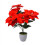 Künstliche Weihnachtssternblume Red7-Fork Dekoration 4