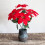 Künstliche Weihnachtssternblume Red7-Fork Dekoration 5