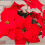 Künstliche Weihnachtssternblume Red7-Fork Dekoration 6