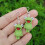 Frog Animal Earrings for Women Statement Design 1 Pair 2