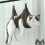 Pet Grooming Bag Compatible with Puppy Bathing Tools 7