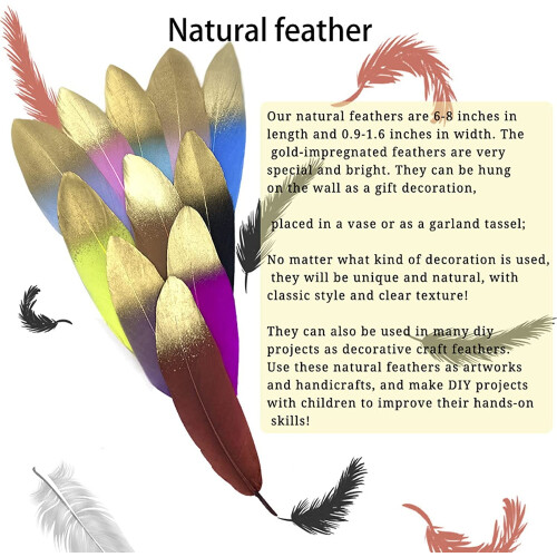Goose Feathers Multicolor 6-8 inch 100 pcs 2