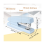 Draagbare bureau-nietmachine (1 stuk) 2