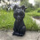 Black Cat Statue Hand-Painted Witch Decor 1pc 2