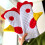 Rooster oven mitts heat resistant 2 pcs 5
