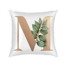 PYPESEEWY Pillow Cases Set of 2 Queen Size