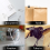 Set van 340 paperclips en bindclips in diverse maten. 2