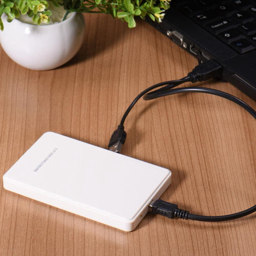 Εξωτερικός σκληρός δίσκος LEEYNEER 1TB USB 2.0 1