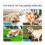 Dog cooling vest reflective breathable for walking 7