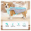 Dog cooling vest reflective breathable for walking 4