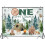 One Happy Camper backdrop forest adventure 1st birthday 3