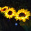 Lâmpada solar LED para quarto e jardim (1 unidade) 2