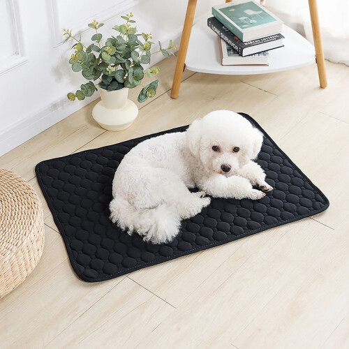 Washable Dog Pee Pads Absorbent Reusable Non-Slip 3-Pack