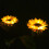 Lâmpada solar LED para quarto e jardim (1 unidade) 5