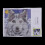 Wolf Latch Hook Rug Kit for Kids Beginners 7