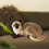 Cat Plush Toy Siamese Style 2 pcs 6
