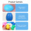 Gecheer egg shakers percussion instruments 12 pcs 6