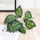 Artificial Plant Stem with Leaves 1 Piece 7