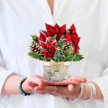 Cartes 3D Pop Up Freshcut Paper, Mini Poinsettia, Bouquet de Fleurs 6 Pouces, Carte de Noël